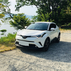 C-HR NGX50