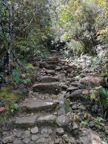 Pinnacles Walk Kauaeranga Kauri Trail The Rock Staircase