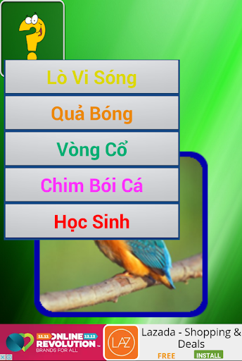 Bé Học Chữ Và Số, Tập Đánh Vần ABC