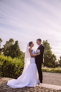 Photographe de mariage Alena Gurenchuk (alenagurenchuk). Photo du 27 mai 2016