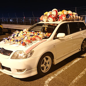 カローラフィールダー ZZE123G