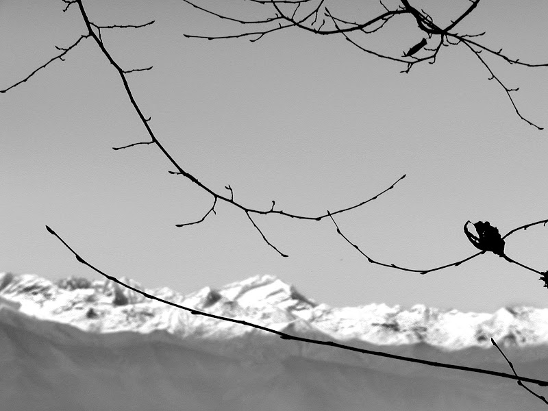 Nelle vene della montagna di gianfranco_liccardo