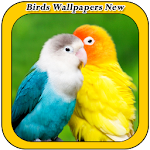 Cover Image of Download Birds Wallpapers New 1.2 APK