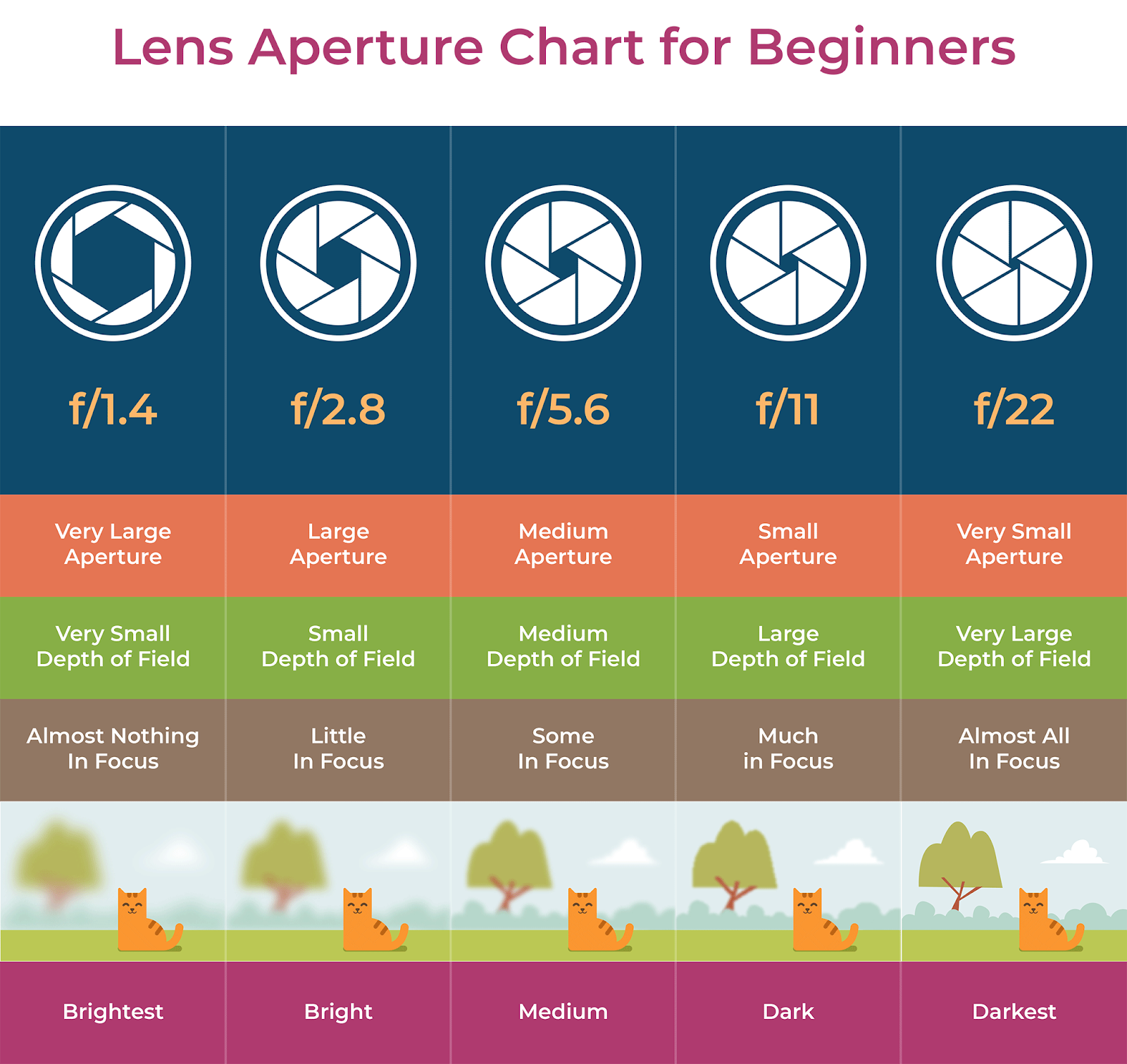 How To Lock Aperture On Nikon Lens (The Only Guide)