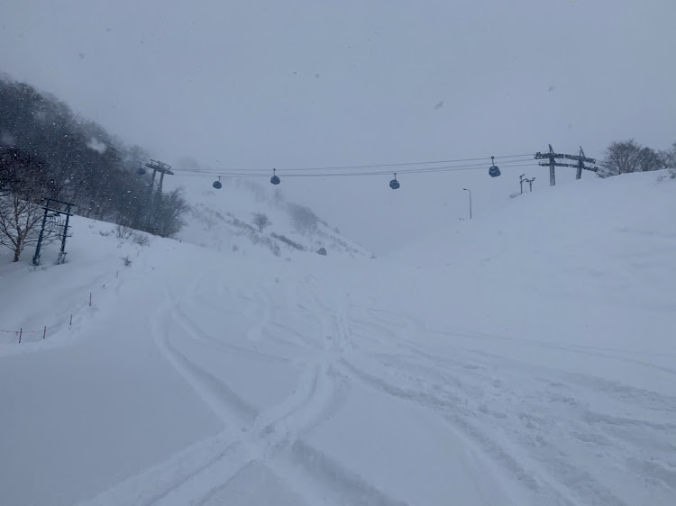 シビックの苗場スキー場・パウダースノー・新雪・ラッセル車状態・湯沢に関するカスタム事例の投稿画像4枚目