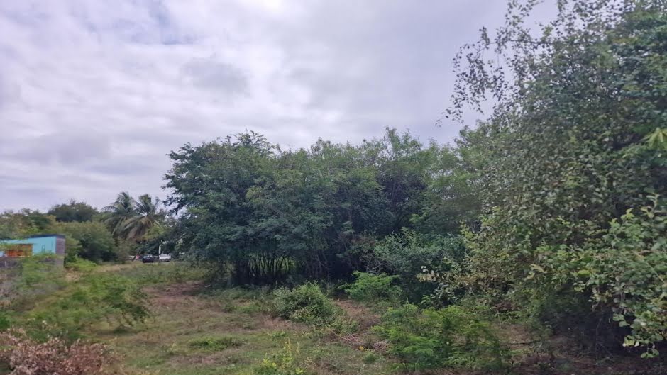 Vente terrain  540 m² à Anse bertrand (97121), 85 000 €