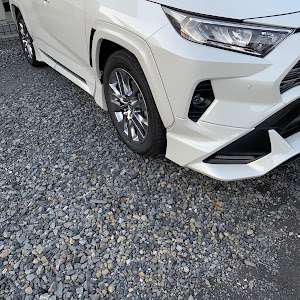 RAV4 MXAA54