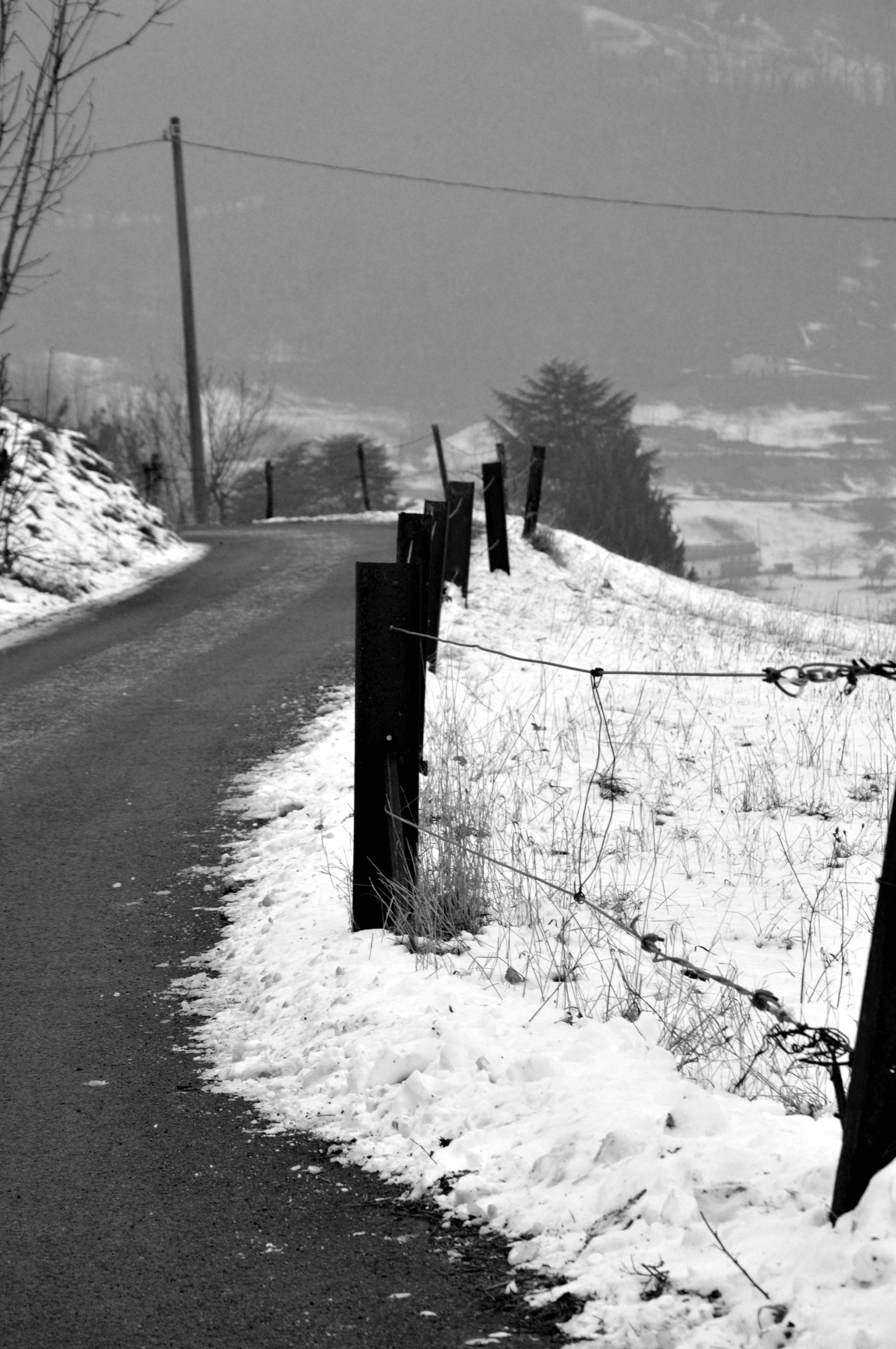 Il cammino d'inverno di Stefano Mondini