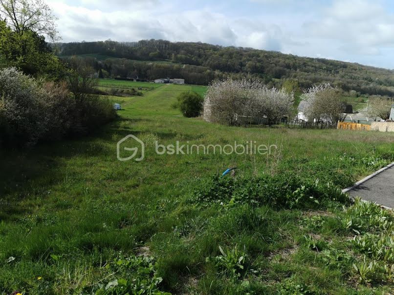 Vente terrain  1252 m² à Villeneuve-sur-Yonne (89500), 29 000 €