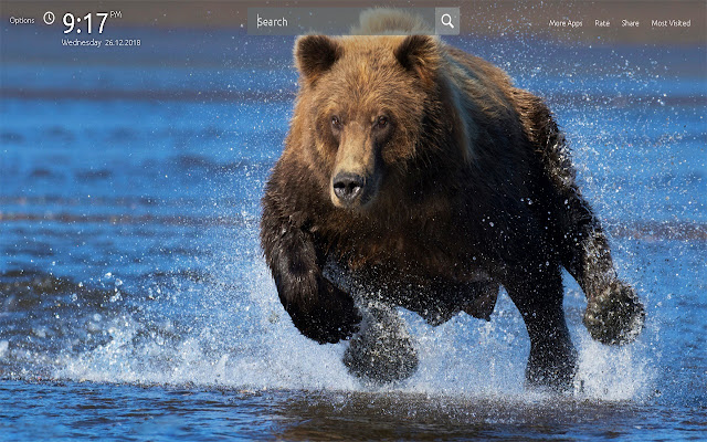 Bear Wallpapers Theme New Tab