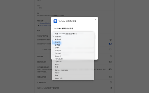 YouTube Title & Description Translator screenshot 5