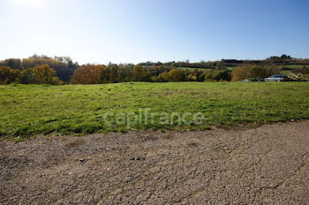 terrain à Lengelsheim (57)