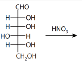 Carbohydrates