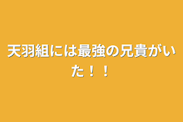 天羽組には最強の兄貴がいた！！