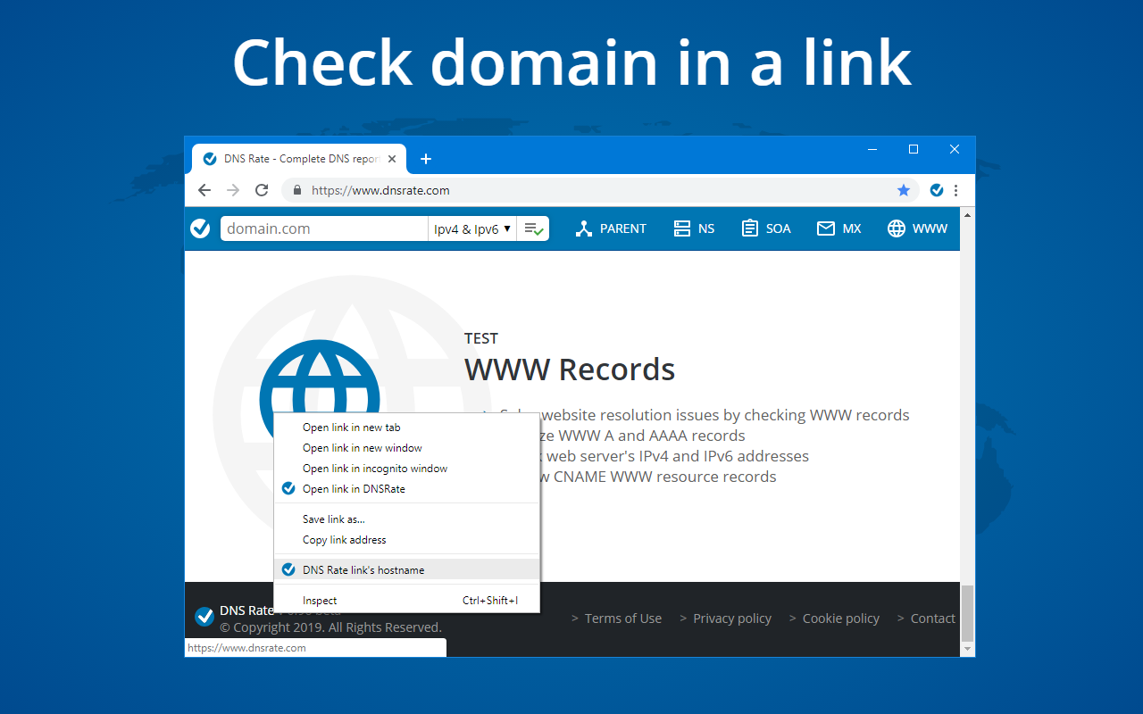 DNS Report by DNS Rate Preview image 6