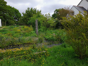 terrain à Sarzeau (56)