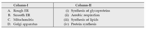 Cell Organelles