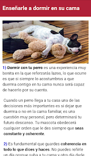 Cómo Adiestrar un Perro Screenshot