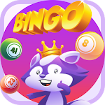 Bingo Raccoon Apk