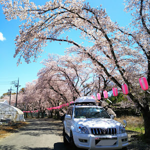 ランドクルーザープラド VZJ120W