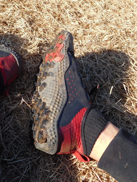 Vivobarefoot   Primus Trail SG   ヤマラ vs ブログ