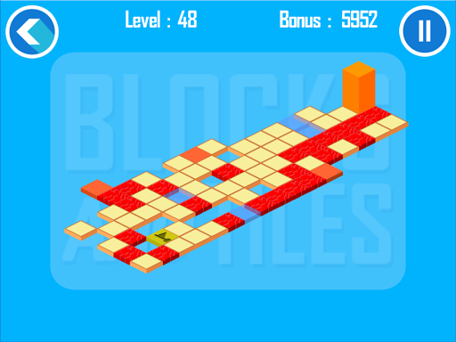 Blocks and Tiles  Puzzle Game