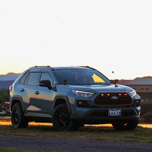 RAV4 MXAA54