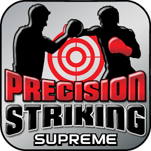 Precision Boxing Coach Supreme