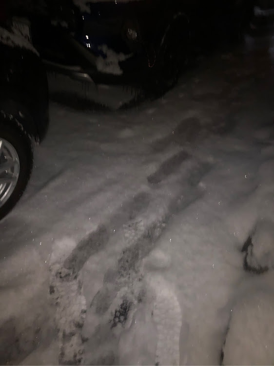 RAV4のrav4に関するカスタム事例の投稿画像3枚目