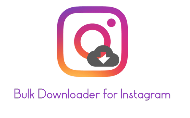 Bulk Downloader for Instagram™ Preview image 0