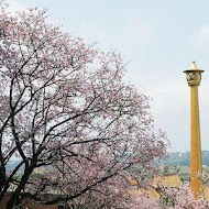 陽明山平菁街橘咖啡