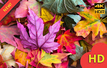 Autumn Leaves Wallpapers New Tab small promo image