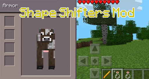 Shape Shifters Mod Installer