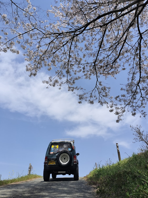 パジェロミニのパジェロミニのある生活・桜ばかりですみません😅・内子・桜並木・愛媛散歩に関するカスタム事例の投稿画像3枚目