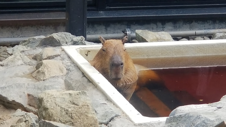 の投稿画像3枚目