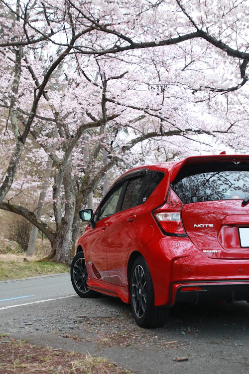 ノートの海津大崎の桜・桜とコラボに関するカスタム事例の投稿画像3枚目