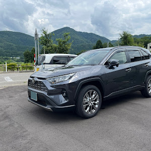 RAV4 MXAA54