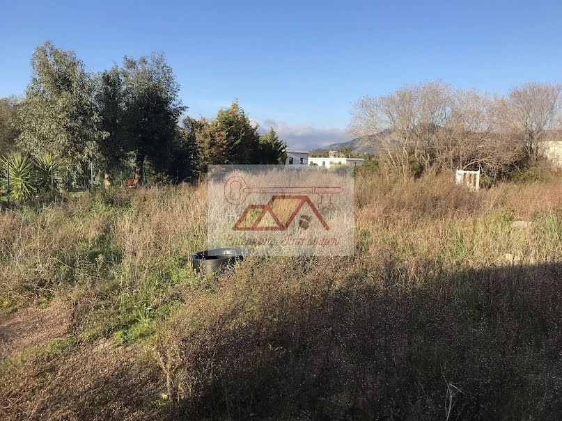 Vente terrain à batir  2413 m² à Calenzana (20214), 378 000 €