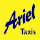 Ariel Taxis Poole icon