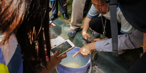 Enrayer La Propagation Du Virus Zika