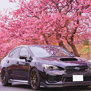 WRX STI VAB