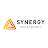 Synergy Fire & Security Ltd Logo