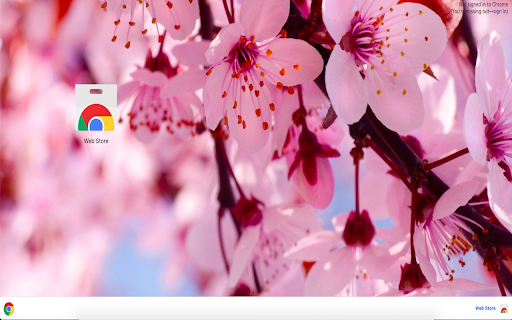 Cherry Blossom Theme