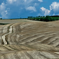 crete senesi di 