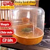 Lồng Tắm Chim Chào Mào, Khuyên - Lồng Tắm Chim Cài Lồng Cỡ Lớn Tiện Lợi - Ricky Bird Shop