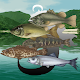 Touch Fishing - River Download on Windows