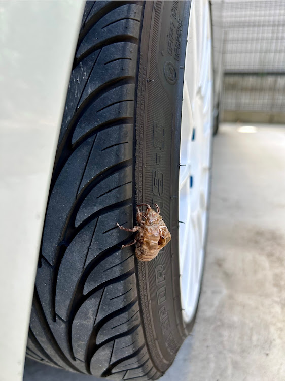 アルトワークスの妻味・まぐろカツ・トー確認・タイヤで羽化に関するカスタム事例の投稿画像5枚目
