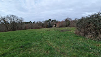 terrain à Saint-Front-de-Pradoux (24)