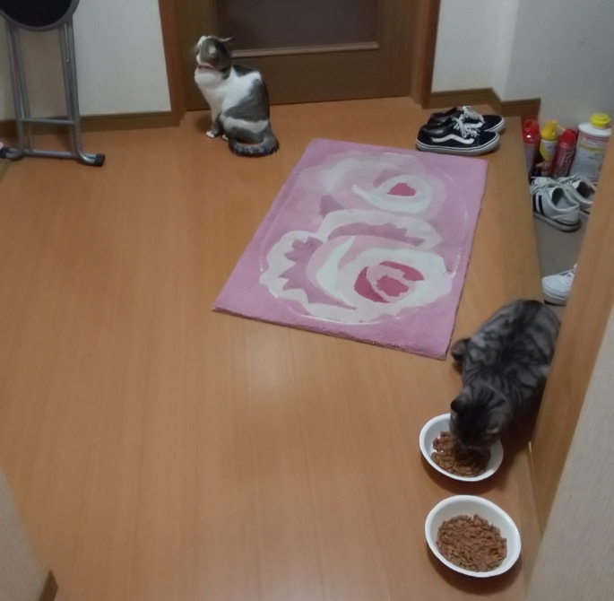 N-ONEのてつやんさんが投稿したカスタム事例の投稿画像24枚目