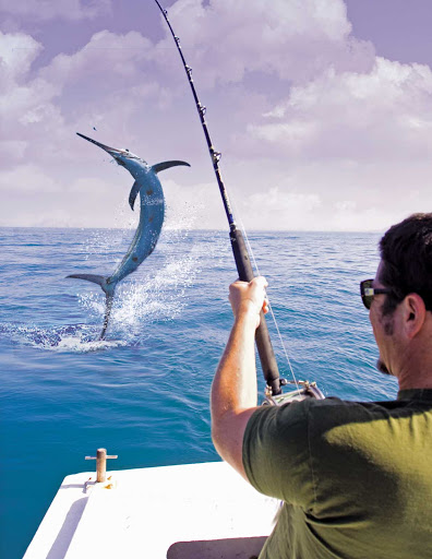 Deep sea fishing off the coast of Mazatlan, Mexico. (It's a genuinely thrilling experience, even if this photo is a bit sketchy.)